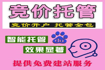 竞价推广代运营案例：ROI最大化策略分享